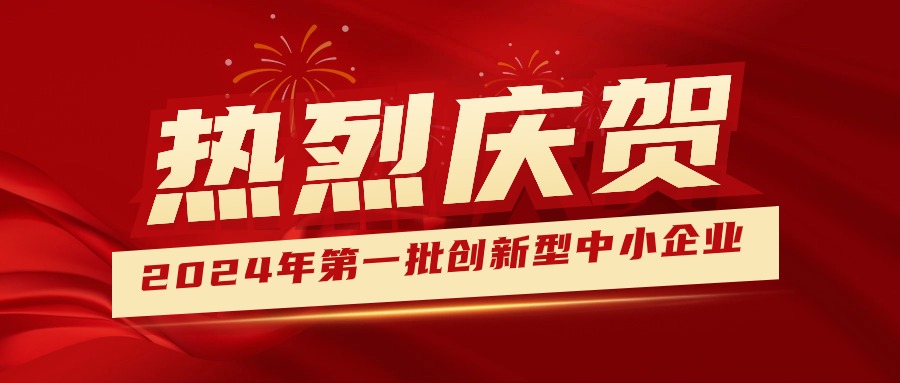 喜報！集團獲認定為2024年第一批創(chuàng  )新型中小企業(yè) 