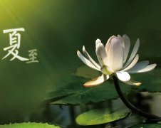 夏至節氣，廣西強壽藥業(yè)集團提醒您注意防暑降溫