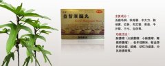 益智康腦丸治療什么病，益智康腦丸主治什么病