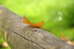 今日12時(shí)9分，迎來(lái)處暑節氣