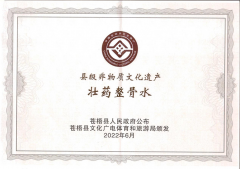 喜報！壯藥正骨水制作技藝榮獲縣級非物質(zhì)文化遺產(chǎn)項目
